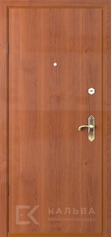 Фото №2 «Уличная дверь №5»